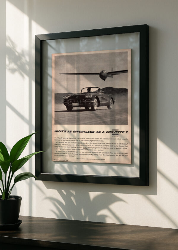 C1 Corvette - Image 2