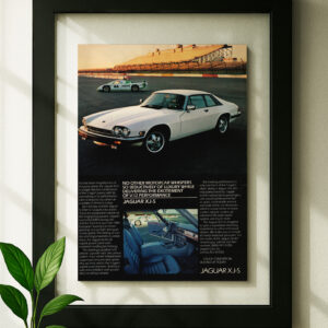 Jaguar XJS
