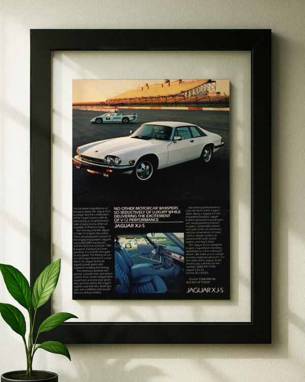 Jaguar XJS