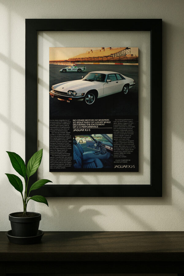 Jaguar XJS - Image 3