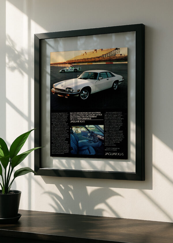 Jaguar XJS - Image 2