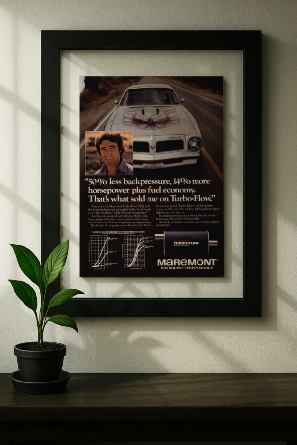 Pontiac Firebird Trans Am - Image 3