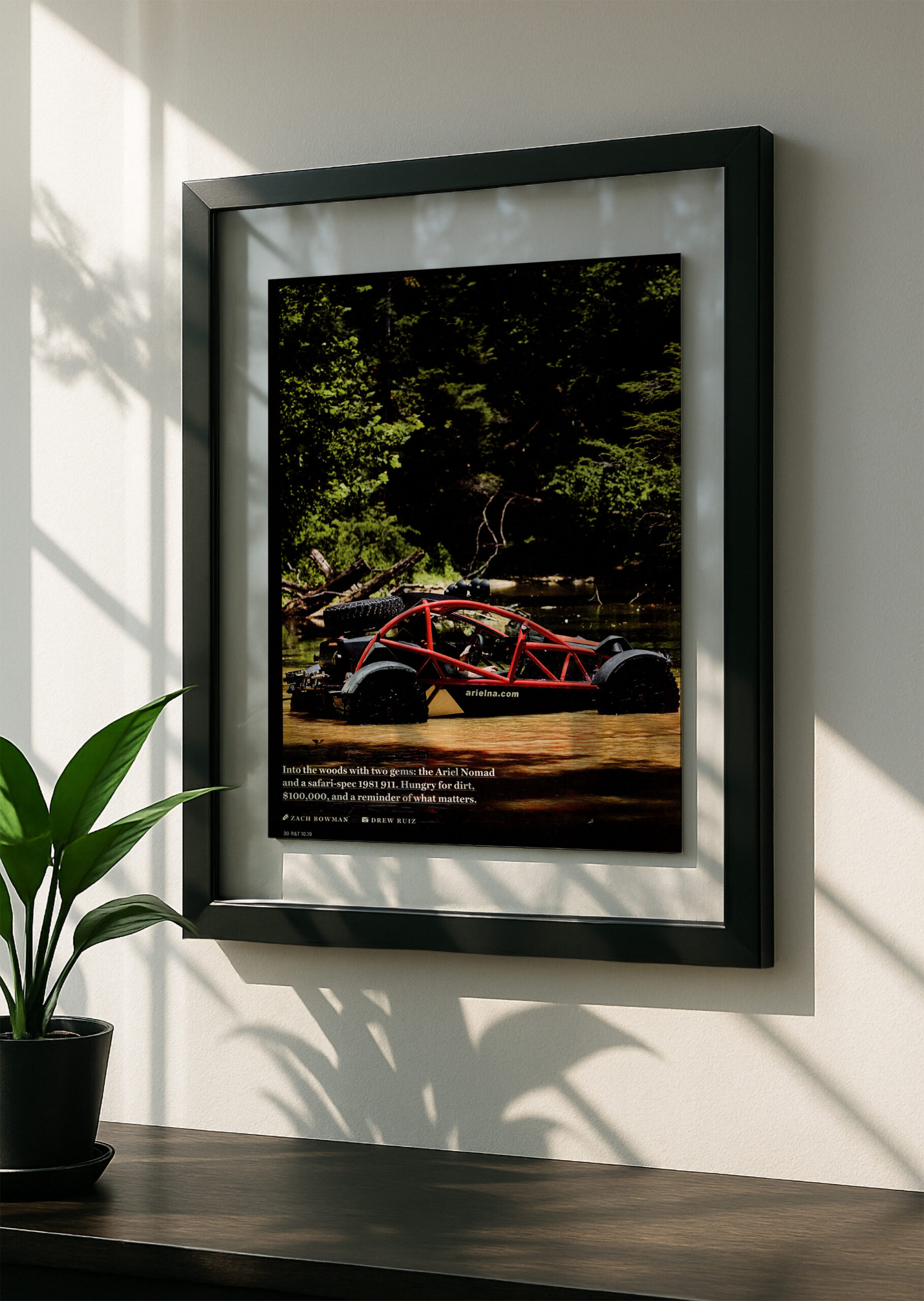 Ariel Nomad - Image 2