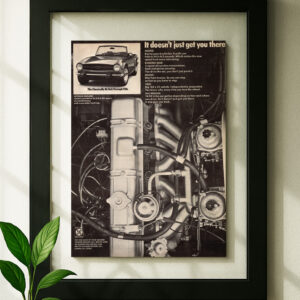 Triumph TR6