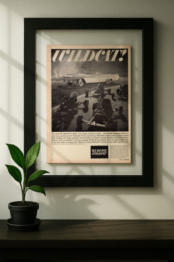 Buick Wildcat - Image 3