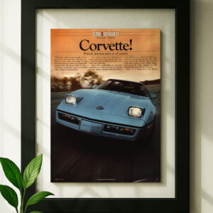 c4 corvette framed original ad in black floating frame on wall car and driver