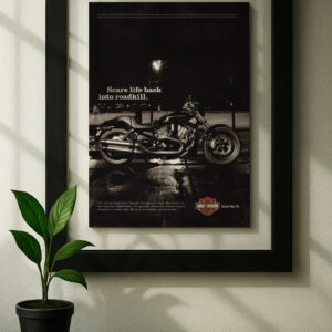 harley davidson night rod framed original ad in black floating frame on wall