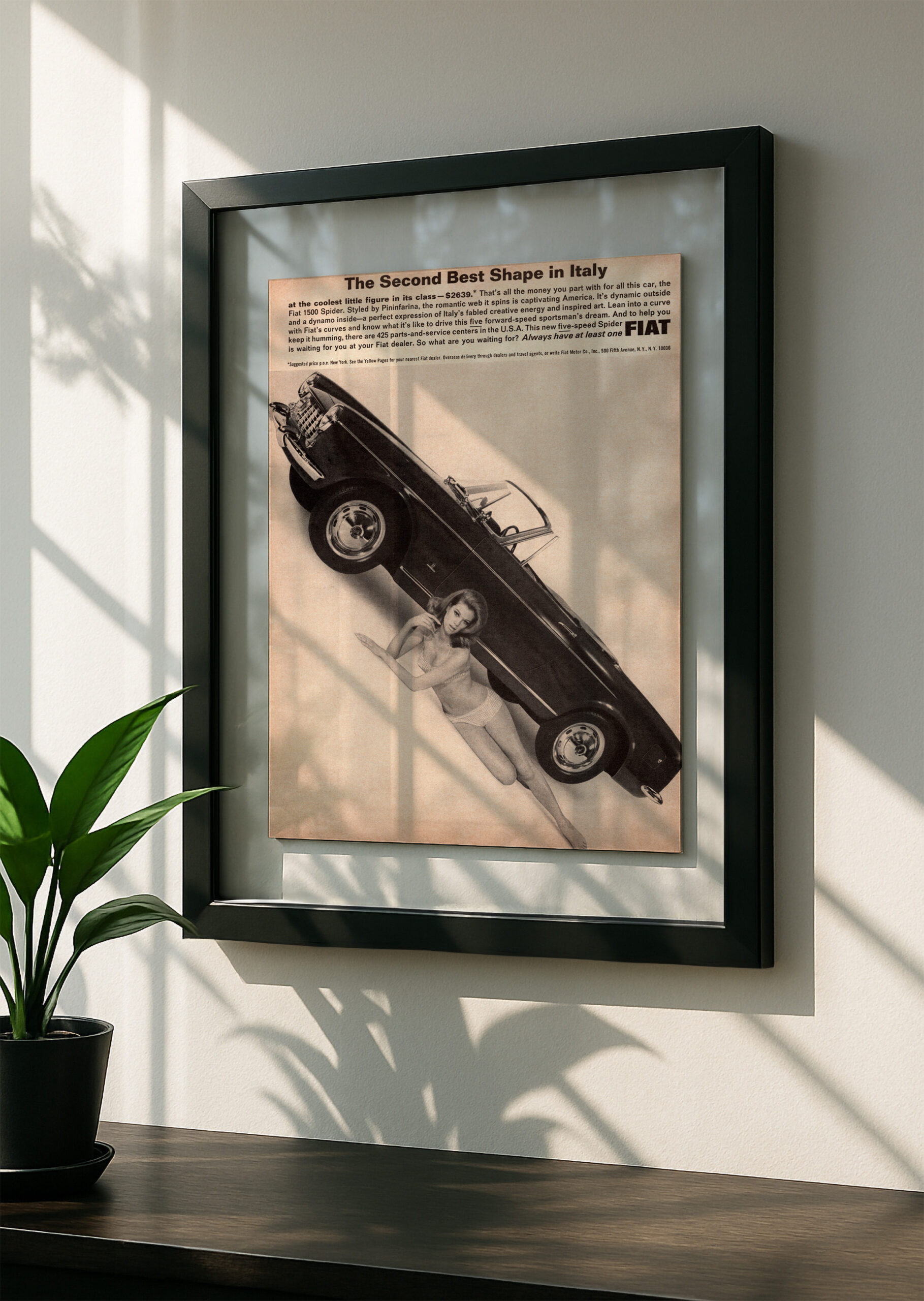 Fiat 1500 Spider - Image 2