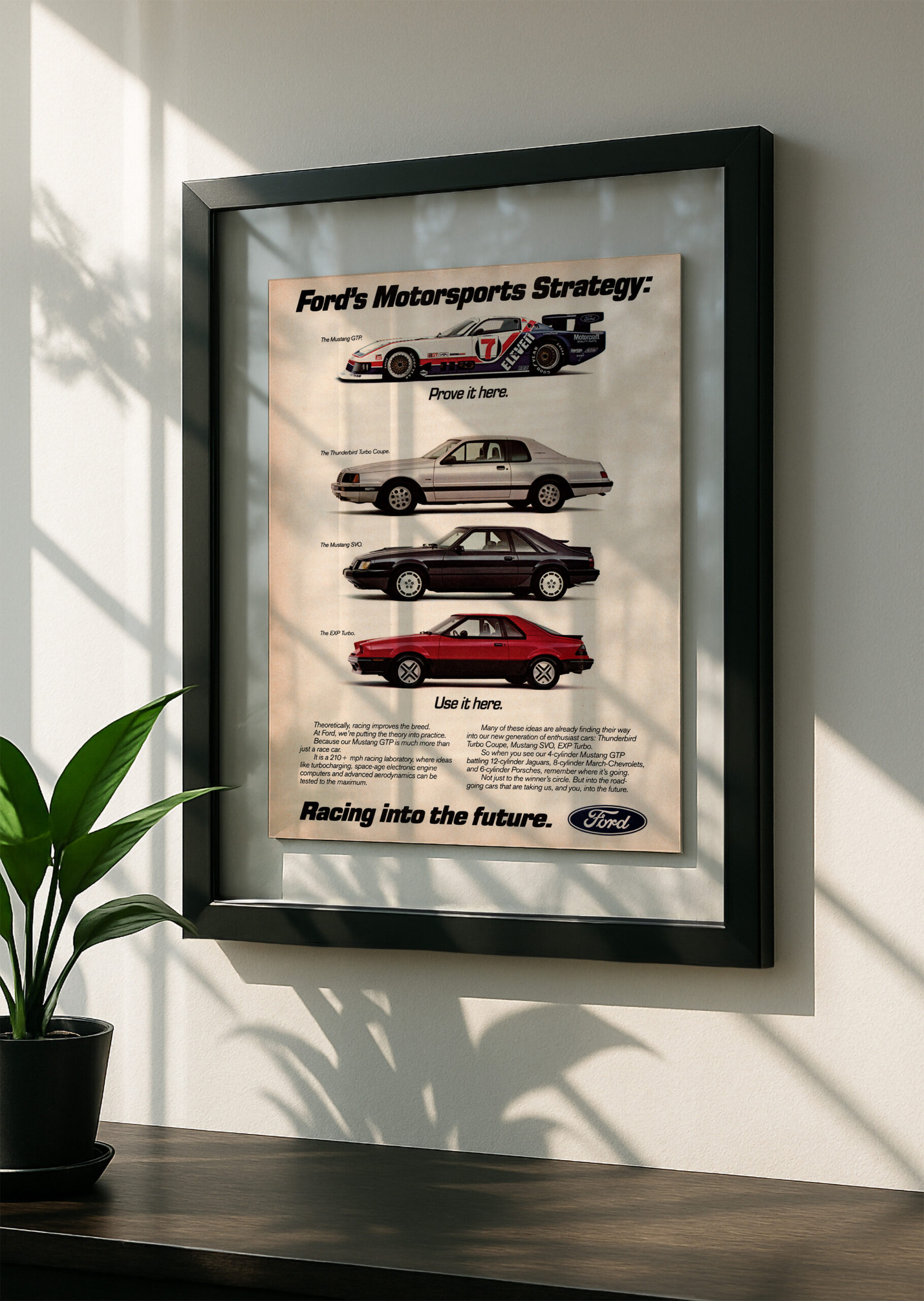 Ford Motorsports Racing - Image 2