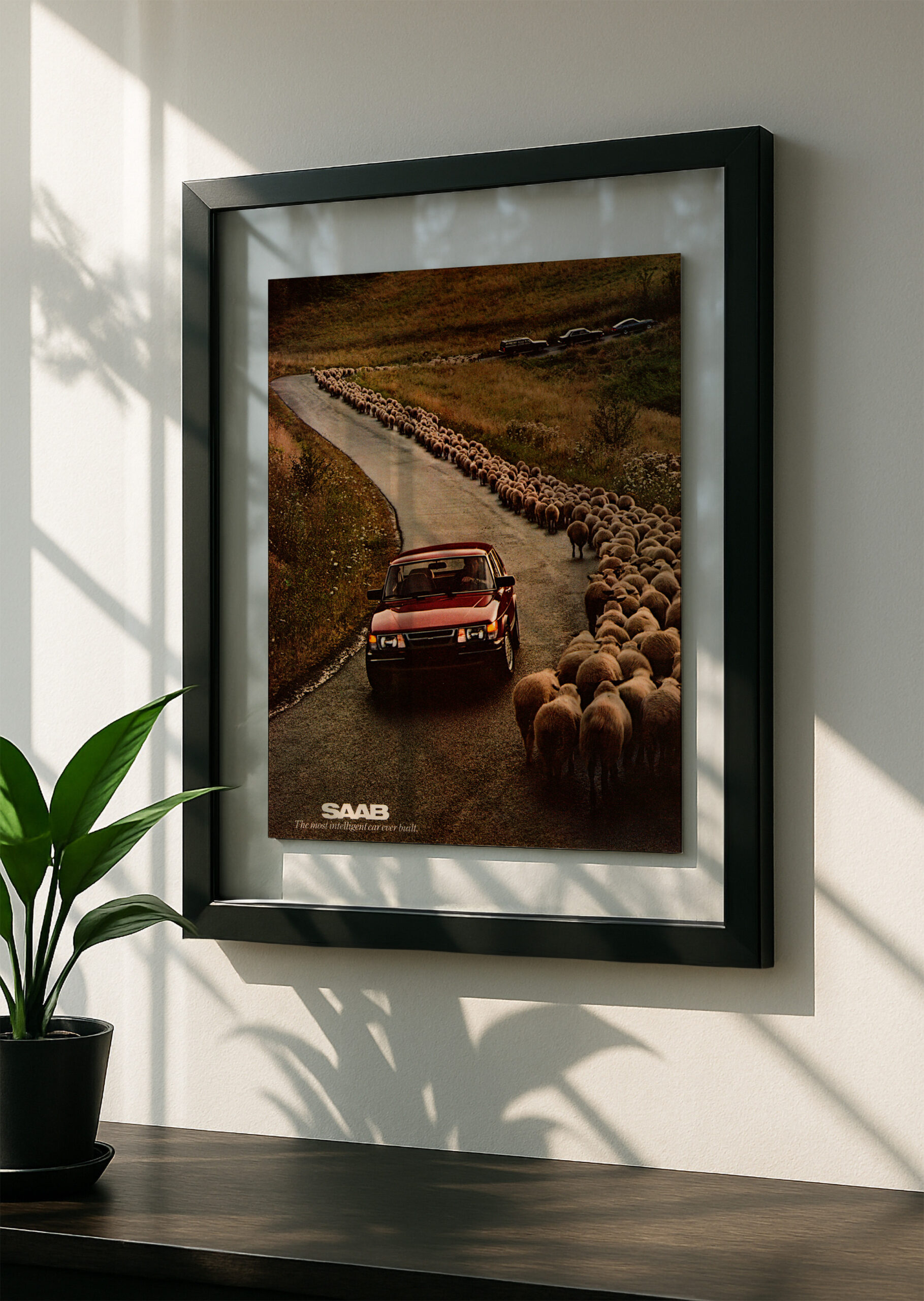 SAAB 900 Turbo - Image 2