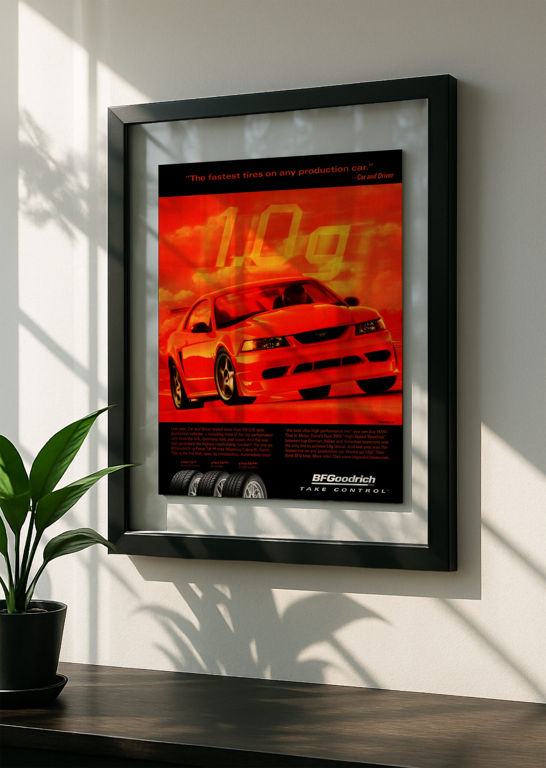 Ford Mustang SN95 - Image 2