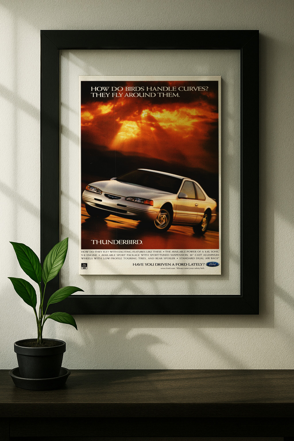 ford thunderbird framed original ad in black floating frame on wall
