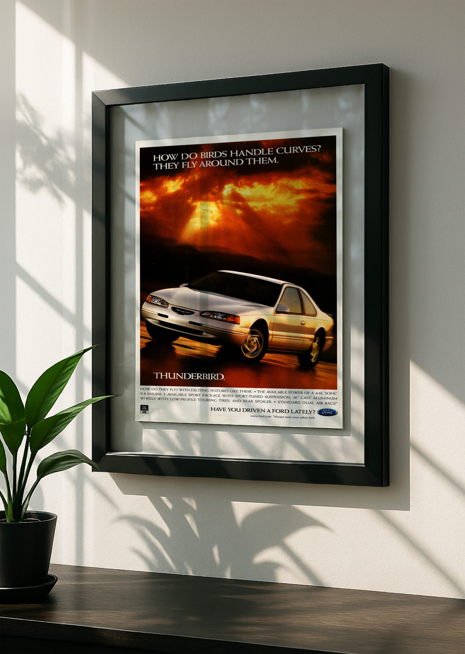 Ford Thunderbird - Image 2